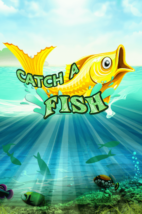 Catch a Fish