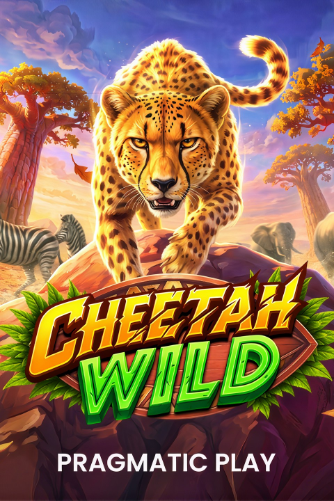 Cheetah Wild