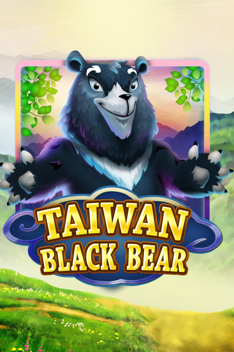 Taiwan Black Bear