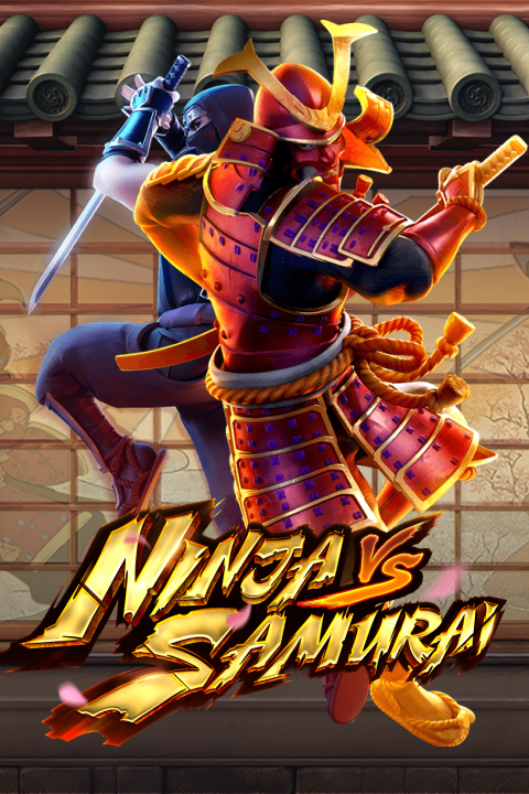 Ninja vs Samurai