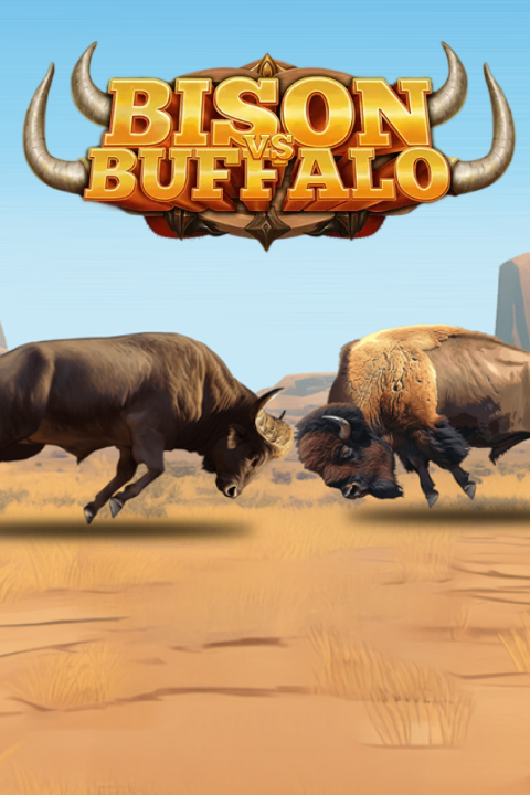 Bison vs Buffalo
