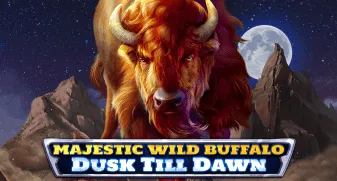 Majestic Wild Buffalo - Dusk Till Dawn