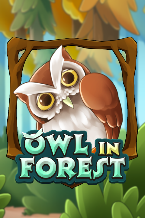Owl In Forest