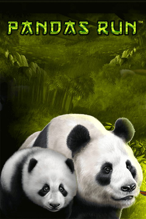 Panda's Run