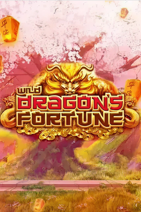 Wild Dragon's Fortune