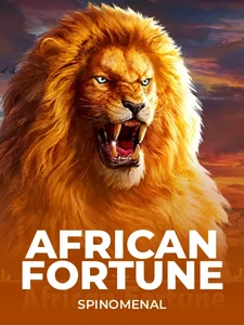 African Fortune